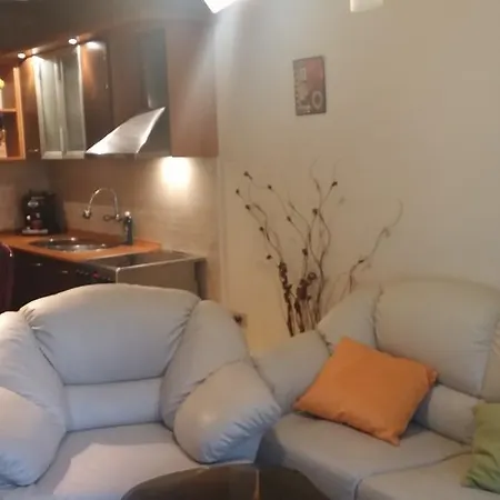Vesselin House Apartment Sofia